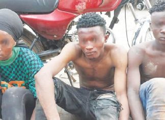 Ogun police nab three for murder attempt