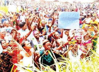 Ondo farmers protest alleged farmlands takeover by Chinese firm