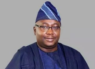 Private firm withheld FG's N32bn metre fund for 20 years -Adelabu