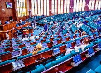 Reps demand 2024 budget review over forex crisis