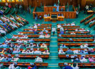 Reps urge security agents to rescue abducted Borno women