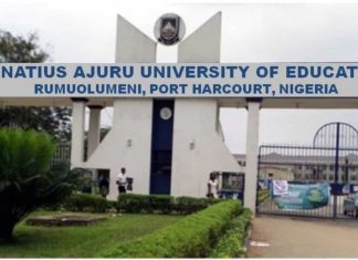 Sacked Rivers varsity workers protest, gov promises to revisit