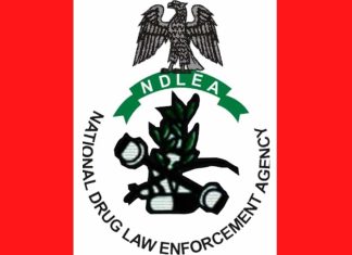 Scammers posing as officers to demand money – NDLEA