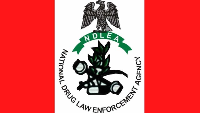 Scammers posing as officers to demand money – NDLEA