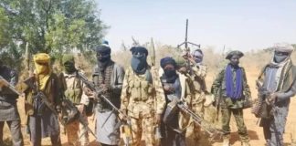 Scores killed as bandits sack nine Benue communities