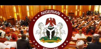 Senate extends implementation period for 2023 supplementary budget to June 30