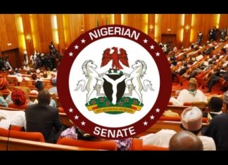 Senate extends implementation period for 2023 supplementary budget to June 30