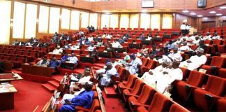 Senate probes delay in power distribution to Delta communities