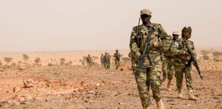 Seven Chadian soldiers killed in landmine