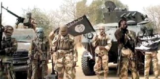 Soldiers kill five terrorists in Borno villages