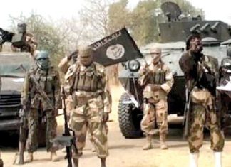 Soldiers kill five terrorists in Borno villages