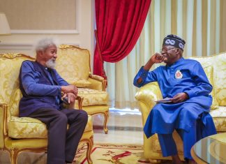 Soyinka, Tinubu and the Sentinelese wisdom