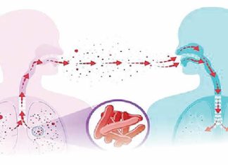 Stakeholders seek increased investments to end tuberculosis by 2030