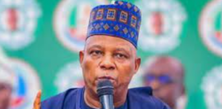 Tinubu taking responsibility for Nigeria's challenges- Shettima