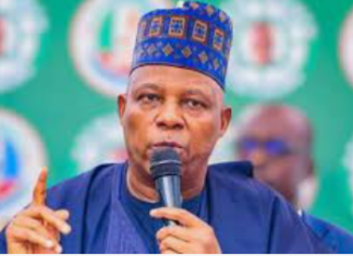 Tinubu taking responsibility for Nigeria's challenges- Shettima