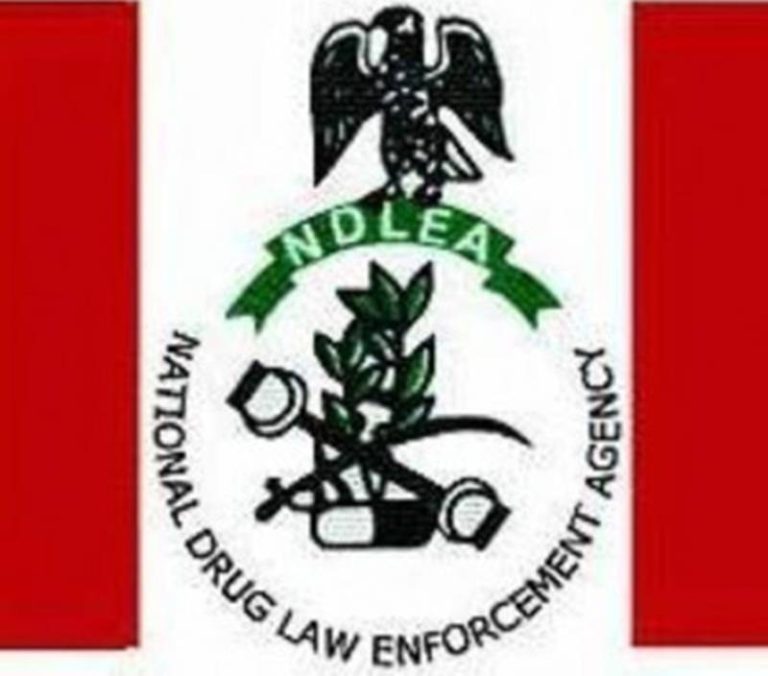 NDLEA arrests 319 suspects, seizes 4.7 tonnes of illicit drugs