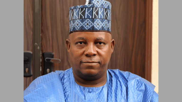 Shettima to speak at 2nd Chronicle Roundtable