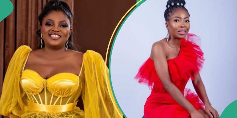 “You Wey Dem Call Tire”: Late Jenifa’s Diary Actress’ Brother Slams Funke Akindele, Gives Details