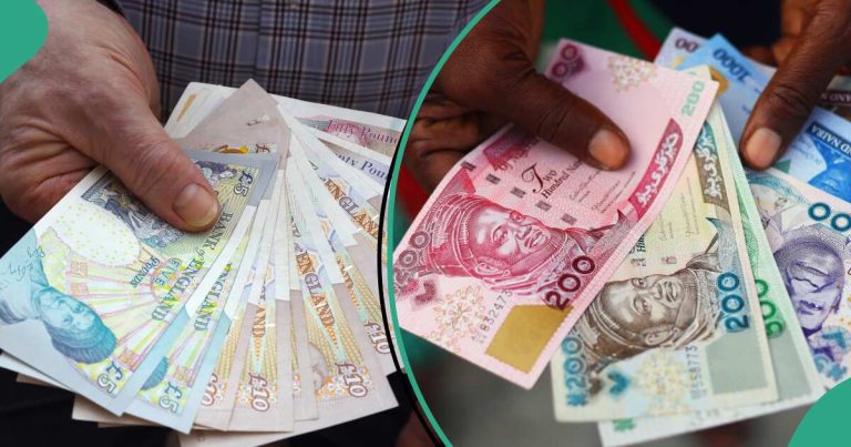 Naira Performs Better in Black Market Than Official Window as It Gets New Ranking in Africa