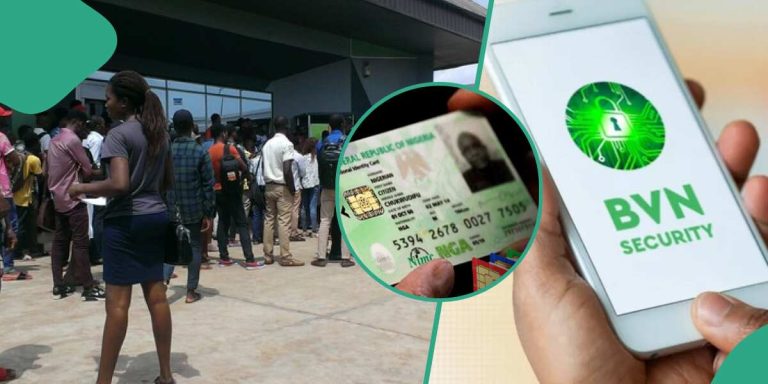 “3 New ID Cards”: Federal Government Announces Plans for New Means of Identity