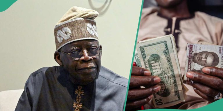“Safe to Predict”: Tinubu’s Govt Shares Fresh Dollar to Naira Exchange Rate Projection