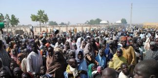 120 million people displaced by war, violence globally — UN