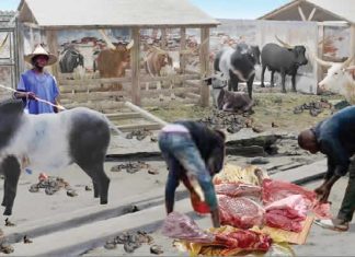 Butchers lament poor state of Badagry abattoir