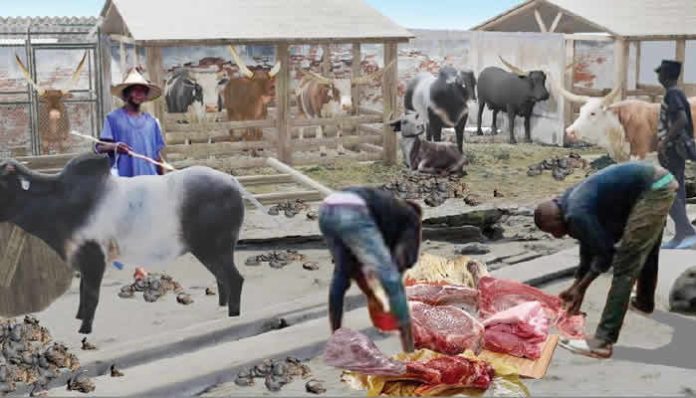 Butchers lament poor state of Badagry abattoir