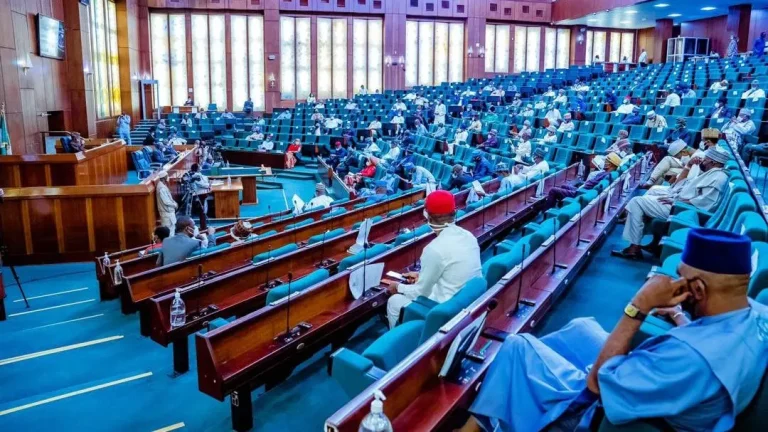 Lawmaker petitions Reps over alleged killings in Taraba