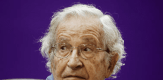 Famous linguist, Noam Chomsky, not dead, says wife 