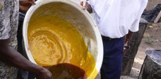 Investing in palm oil could save Nigeria $600m annually- producers