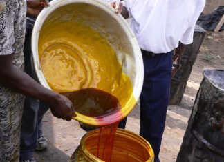 Investing in palm oil could save Nigeria $600m annually- producers