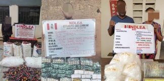 NDLEA busts drug cartel, seizes N4.7bn cocaine, others