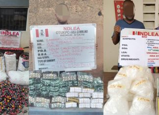 NDLEA busts drug cartel, seizes N4.7bn cocaine, others