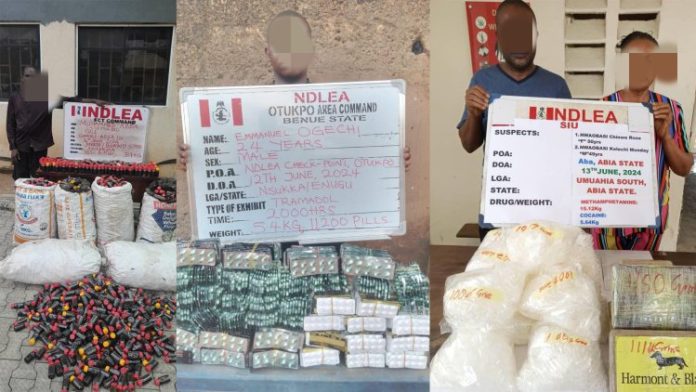 NDLEA busts drug cartel, seizes N4.7bn cocaine, others