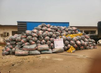 NDLEA destroys 28,959kg cannabis in Edo, Ekiti forests