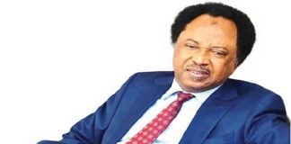 No #EndSARS protesters in custody, police reply Shehu Sani