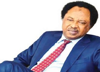 No #EndSARS protesters in custody, police reply Shehu Sani