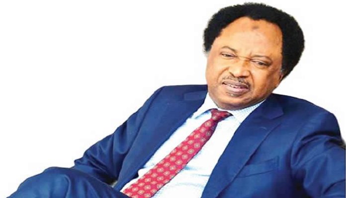 No #EndSARS protesters in custody, police reply Shehu Sani