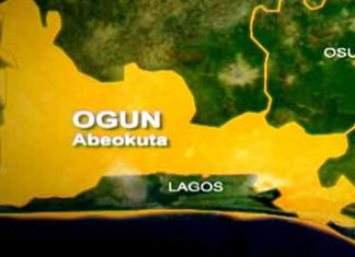 Ogun empowers young farmers with N2.5m, land