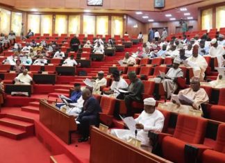 Senate to receive supplementary budget July