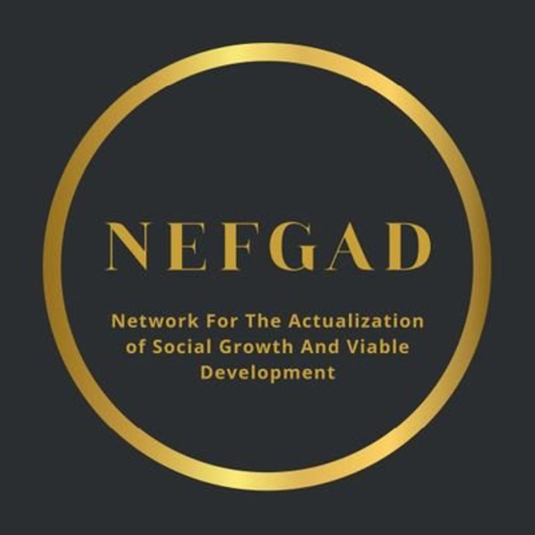 NEFGAD asks outgoing BPP boss Mamman Ahmadu to comply with Tinubu’s directive