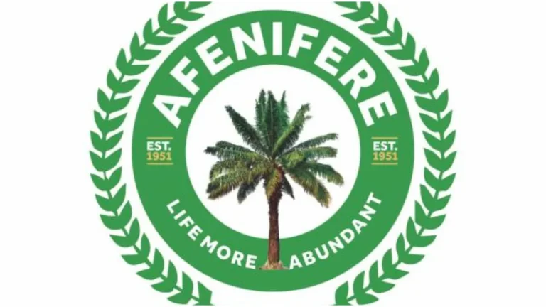 Afenifere condemns one-month ultimatum issued to Igbos to vacate Yoruba land