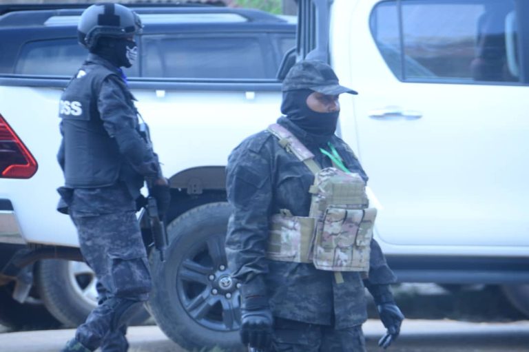 Tinubu’s Rice: DSS reportedly recovers 2,000 bags diverted in Katsina