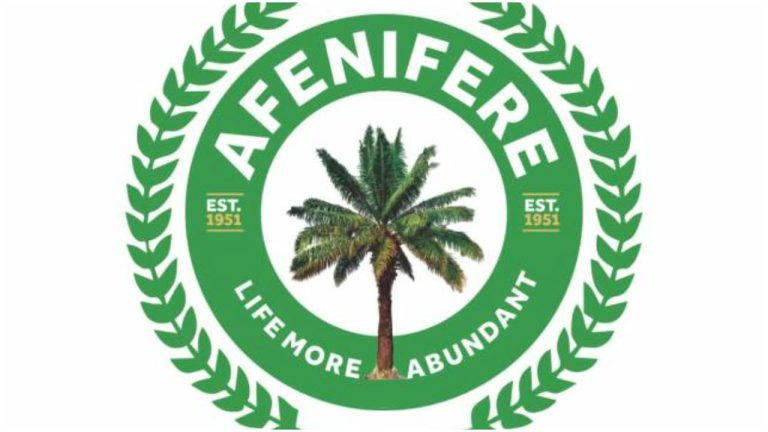 LG autonomy: Afenifere frowns at Supreme Court judgment
