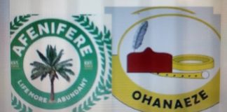 Afenifere, Ohanaeze disagree over S’Court judgment on LG autonomy