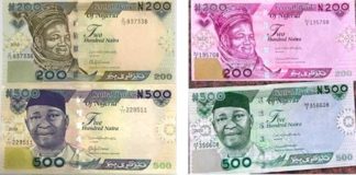 Analysts warn of naira depreciation amid N311bn equity sell-off