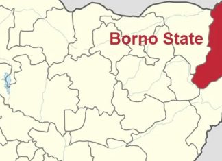 Borno bombing death toll hits 32, 14 survivors discharged