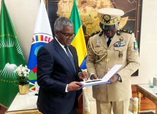 Come and invest in Gabon, President Nguema tells Dangote