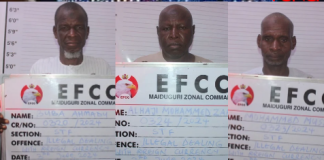 Court jails three illegal BDC operators in Borno